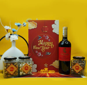 Hộp quà tết vang chile chilano syrah H6